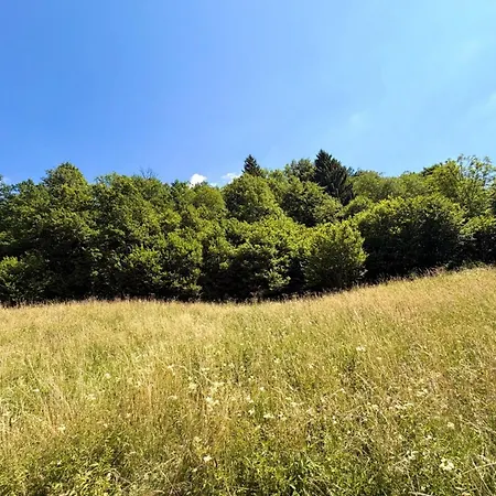 Chalet Majestic Forest - Refuge Paisible - 15 Personnes