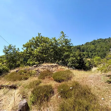 Majestic Forest - Refuge Paisible - 15 Personnes Chalet *